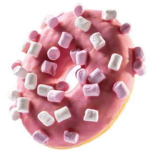 2024 Updated Donut Photos
